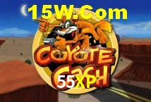 Bonus Features 55XP