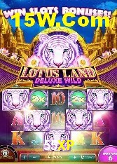 Casino Ao Vivo 55XP